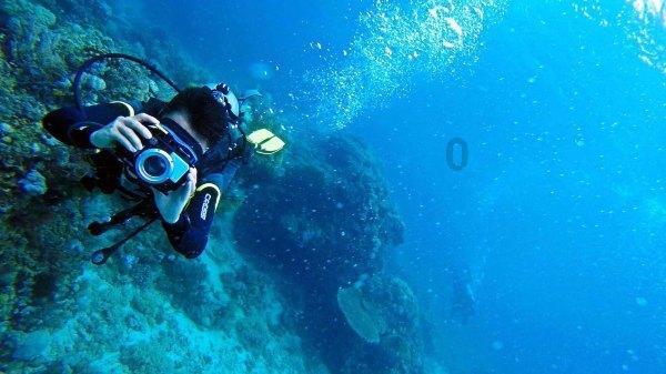 生化危机：浣熊市行动